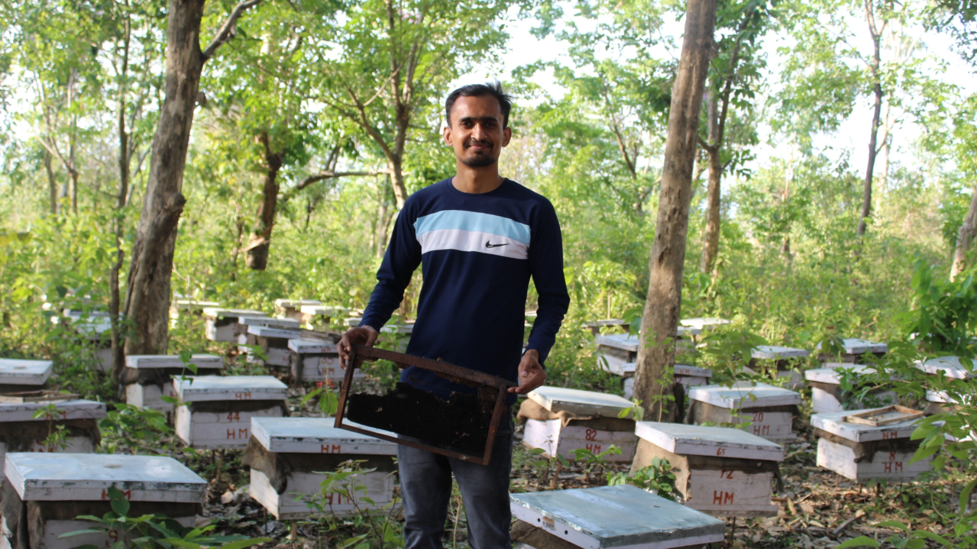 How Ashish Built a Wild Honey Business from the Hills of Tanakpur