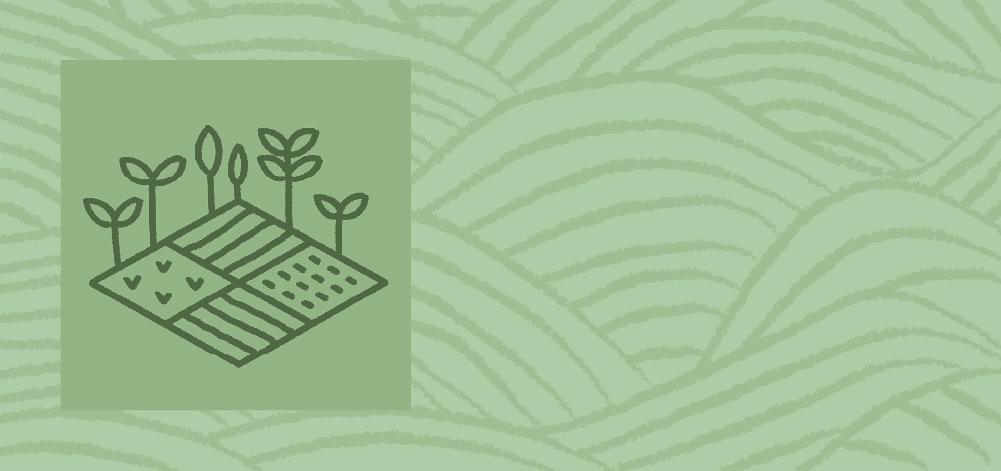 Organic and Natural Farming