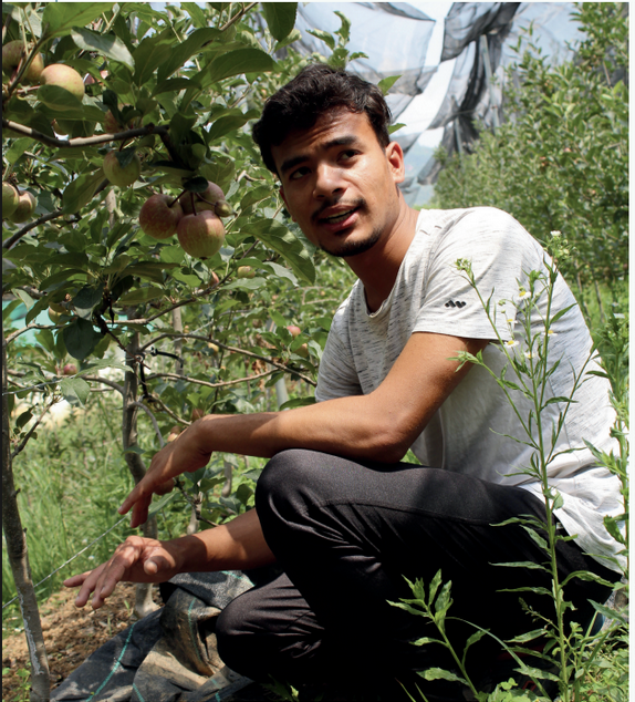 Neeraj Bisht’s Inspiring Story of Reviving Apple Farming in Kumaon Through Climate-Resilient Innovation